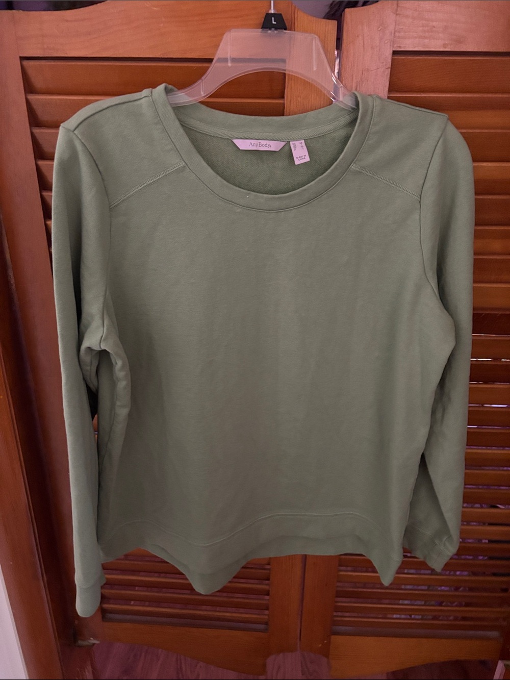 AnyBody Olive Scoop Neck Long-Sleeve Pullover